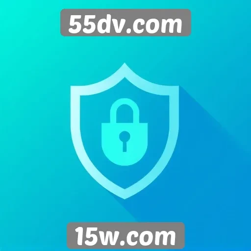 Segurança e privacidade no 55dv.com para usuários